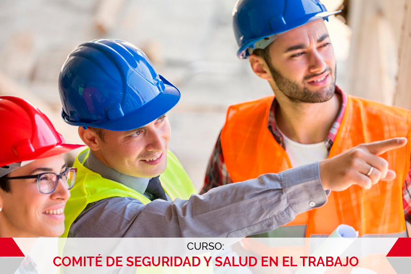 COMITÉ DE SEGURIDAD Y SALUD EN EL TRABAJO