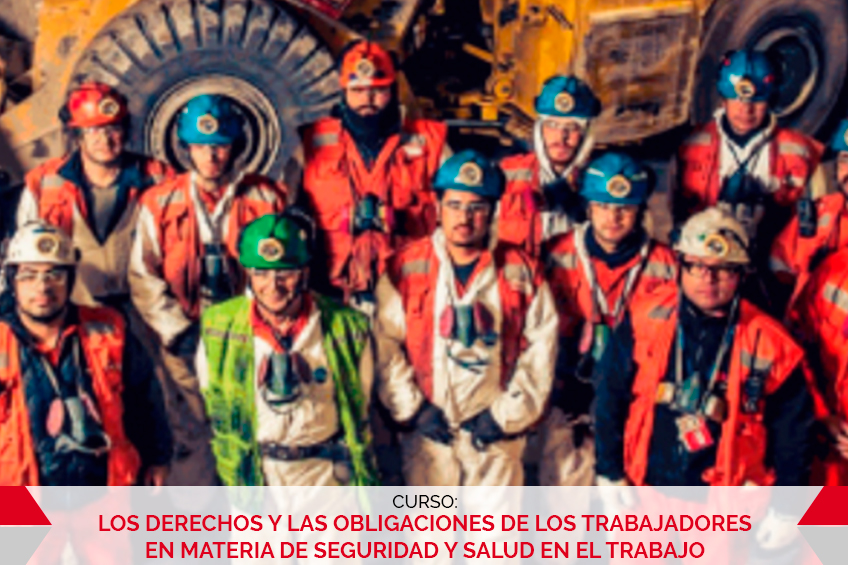 LOS DERECHOS Y LAS OBLIGACIONES DE LOS TRABAJADORES EN MATERIA DE SEGURIDAD Y SALUD EN EL TRABAJO