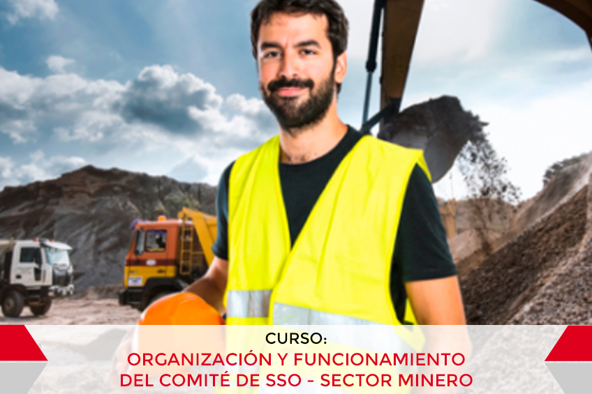 ORGANIZACIÓN Y FUNCIONAMIENTO DEL COMITÉ DE SSO - SECTOR MINERO