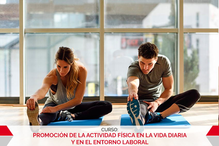 PROMOCIÓN DE LA ACTIVIDAD FÍSICA EN LA VIDA DIARIA Y EN EL ENTORNO LABORAL